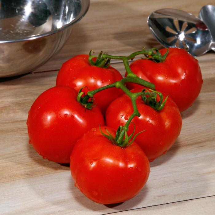 Lycopersicon Grand Marshall