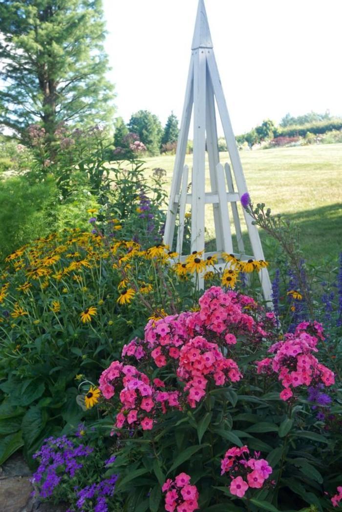 Phlox paniculata Candy Store® Coral Crème Drop™