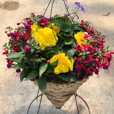 Cone Rope Hanging Baskets - SHADE 