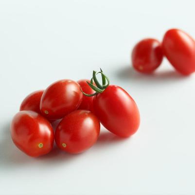 Lycopersicon Crimson Star