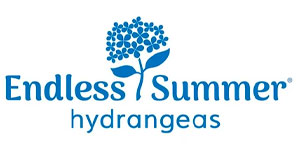 Endless Summer Endless Summer