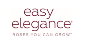 Easy Elegance Easy Elegance