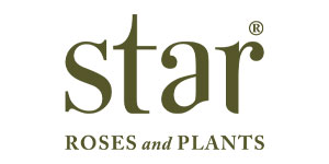 Star Roses and Plants Star Roses and Plants