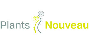 Plants Nouveau Plants Nouveau