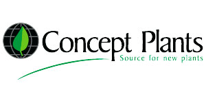 Concept Plants Concept Plants